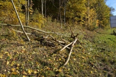 24102015_horrorunfall_a2-grimmenstein-3