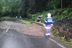 20160805_191434_resized