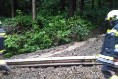 20160805_191445_resized