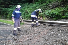 20160805_191453_resized