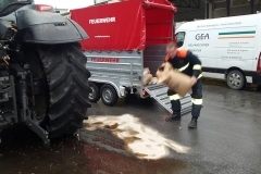 20161202_151405_resized