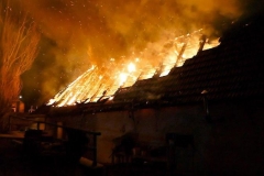 esd_04032017_b3-edlitz-markt-2