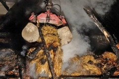 esd_04032017_b3-edlitz-markt-40