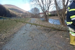 img_20170304_163309_1