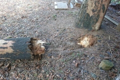 img_20170304_163309_2