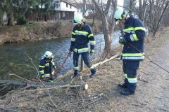 img_20170304_163309_3