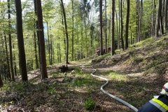 20170430_092555_resized_1