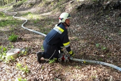 20170430_092557_resized_1