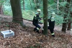 img_20170513_182958_1