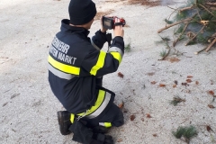 20171125_115841120_ios