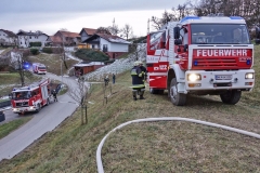 20171210_180141772_ios