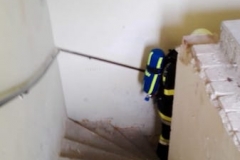 20180615_083406690_ios