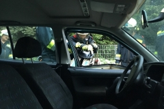 20180808_180639119_ios