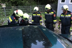 20180808_180644620_ios