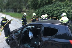 20180808_180708250_ios