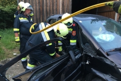 20180808_180734503_ios