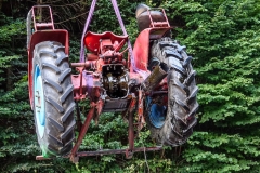 20180819_163439500_ios