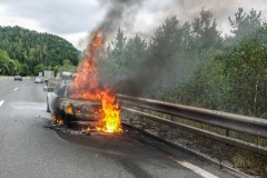 whatsapp-image-2018-08-31-at-17-09-14