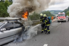 whatsapp-image-2018-08-31-at-17-09-27