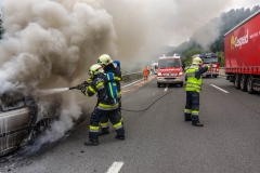 whatsapp-image-2018-08-31-at-17-09-28