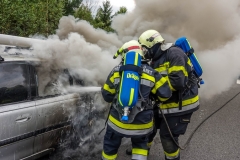 whatsapp-image-2018-08-31-at-17-09-29