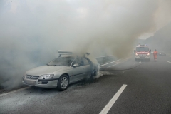 whatsapp-image-2018-08-31-at-17-09-30