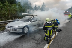 whatsapp-image-2018-08-31-at-17-09-301