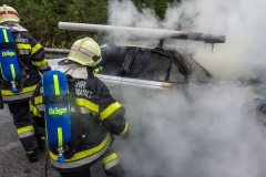 whatsapp-image-2018-08-31-at-17-09-31