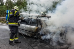 whatsapp-image-2018-08-31-at-17-09-32