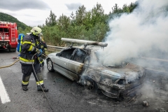 whatsapp-image-2018-08-31-at-17-09-321