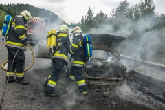 whatsapp-image-2018-08-31-at-17-09-33