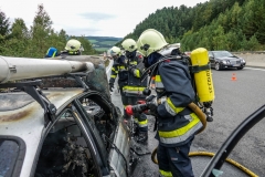 whatsapp-image-2018-08-31-at-17-09-332