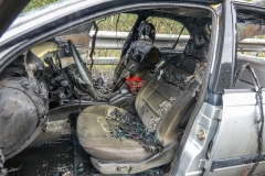 whatsapp-image-2018-08-31-at-17-09-35