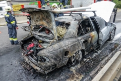 whatsapp-image-2018-08-31-at-17-09-383