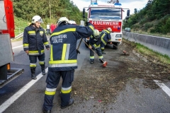 20180925_101805053_ios