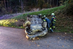 20181017_185207301_ios