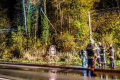 bd038cd2-06a1-4843-a113-2b6dbcac613b