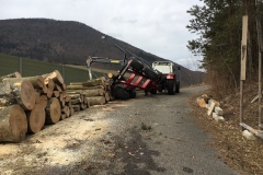 20190201_110051712_iOS