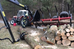 20190201_111943837_iOS