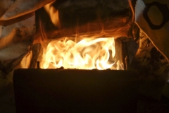 20190206_211414401_iOS