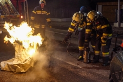 20190206_211414761_iOS