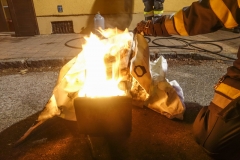 20190206_211415054_iOS