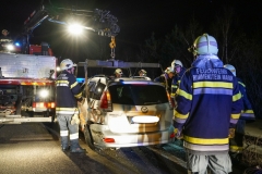 20190310_213526255_iOS