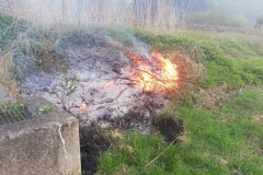 20190420_191432000_iOS