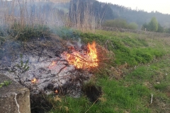 20190420_191433000_iOS