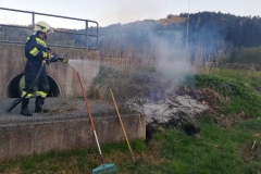 20190420_191437000_iOS