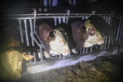 IMG-20190424-WA0025 IMG-20190424-WA0025