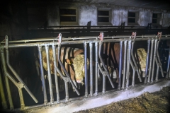 IMG-20190424-WA0030 IMG-20190424-WA0030