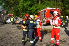 20190519_190058000_iOS