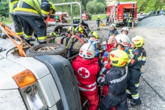 20190519_190109000_iOS